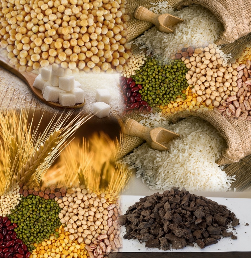 Agricultural Products LLC Lopatinsky Plant